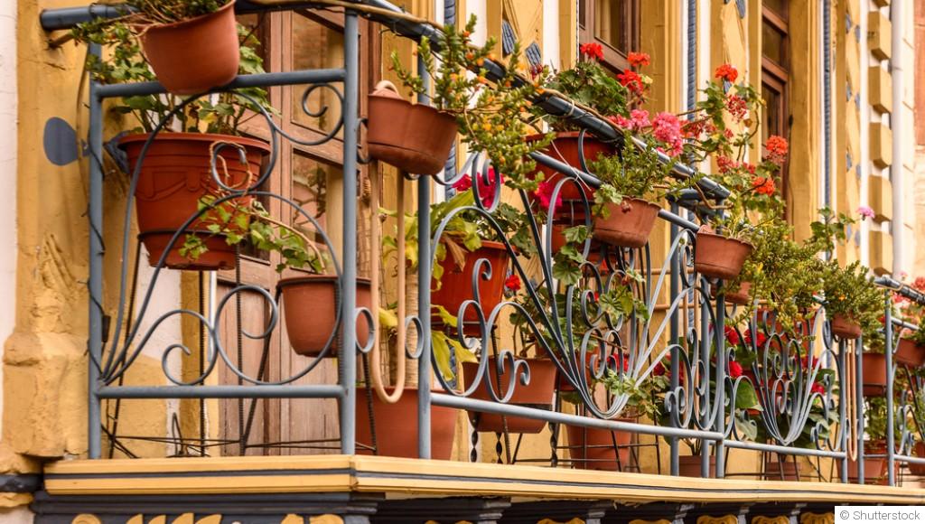 Fleurs faciles pour jardinières et balcons