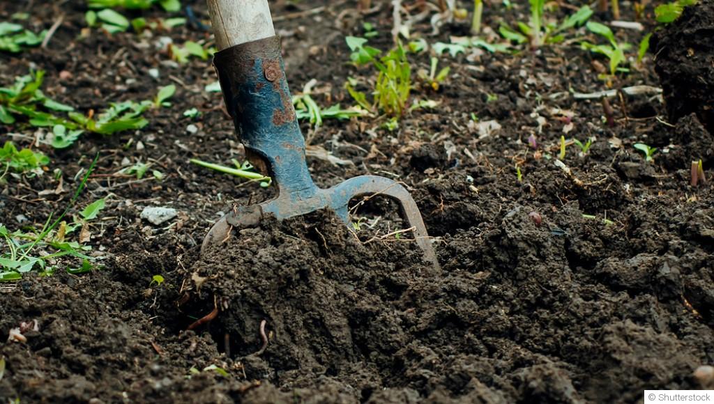 Faut-il vraiment bêcher le potager ?