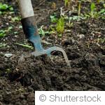 Faut-il vraiment bêcher le potager ?