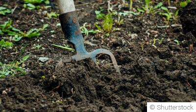 Faut-il vraiment bêcher le potager ?