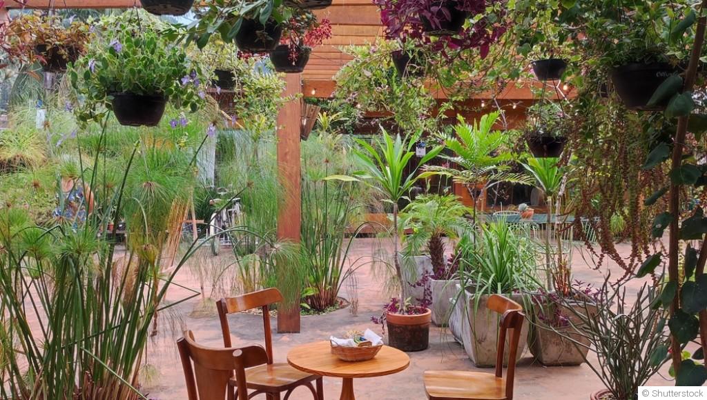 Créer un mini potager sur une terrasse