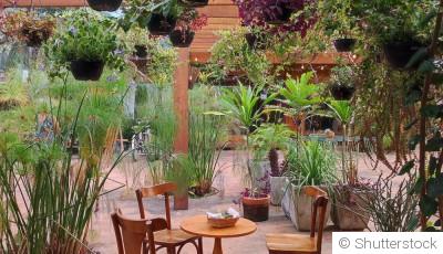 Créer un mini potager sur une terrasse