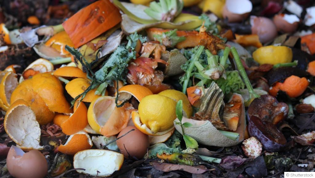 Des engrais naturels faciles à faire chez soi