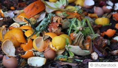 Des engrais naturels faciles à faire chez soi