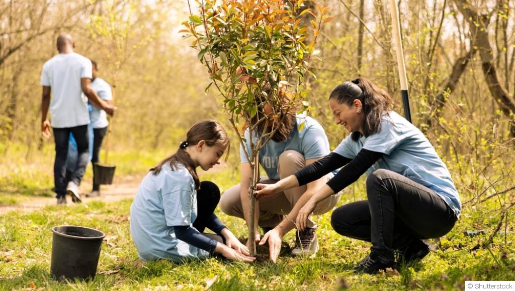 planter un arbre facilement et assurer sa bonne reprise