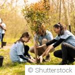 planter un arbre facilement et assurer sa bonne reprise