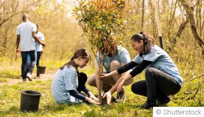 planter un arbre facilement et assurer sa bonne reprise