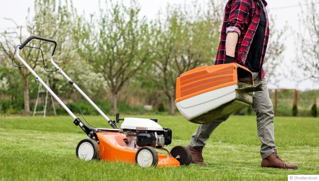 Faut-il vraiment tondre si souvent ?
