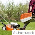 Faut-il vraiment tondre si souvent ?