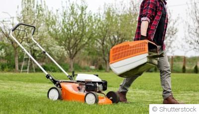 Faut-il vraiment tondre si souvent ?