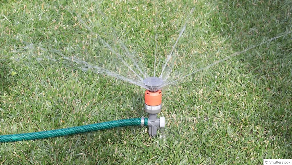 Comment arroser son jardin en période de canicule ?