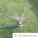 Comment arroser son jardin en période de canicule ?
