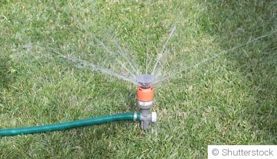 Comment arroser son jardin en période de canicule ?