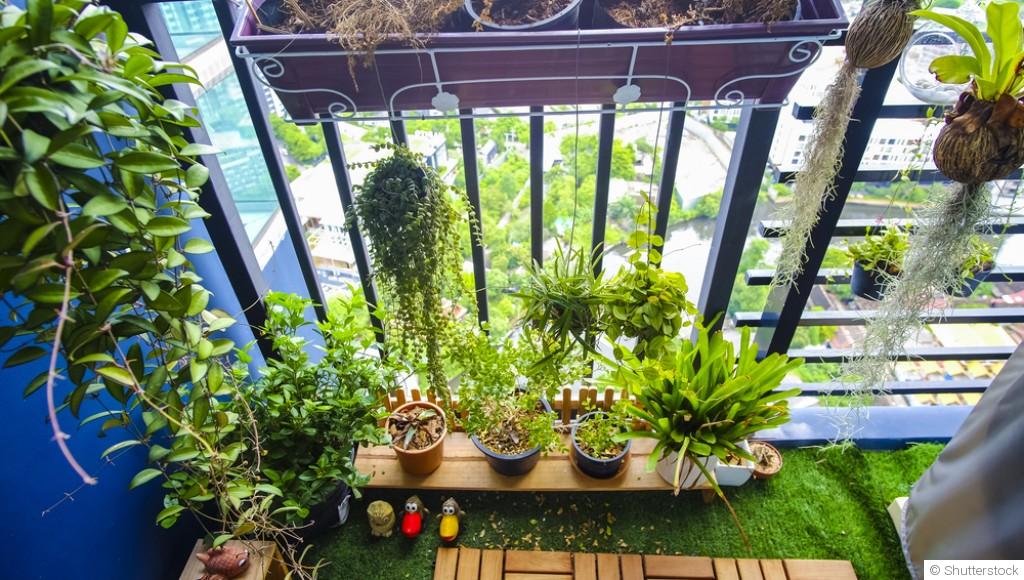 Avoir un potager même en appartement
