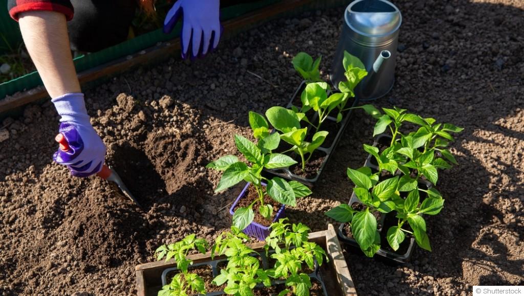 Comment réveiller la terre après l’hiver sans trop d’effort ?
