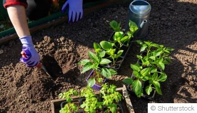 Comment réveiller la terre après l’hiver sans trop d’effort ?