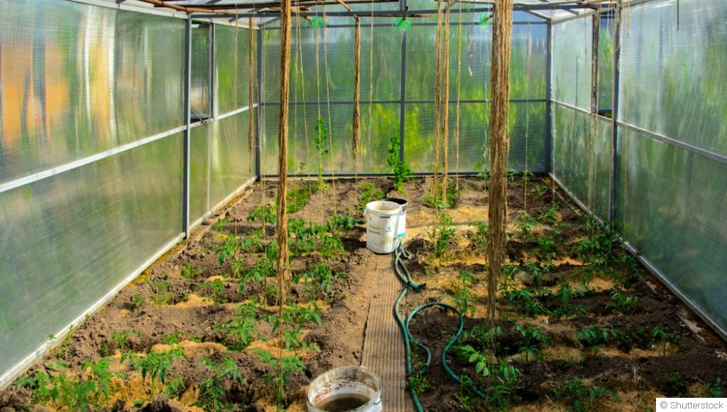Créer de l’ombre naturelle au potager pour protéger vos récoltes