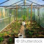 Créer de l’ombre naturelle au potager pour protéger vos récoltes