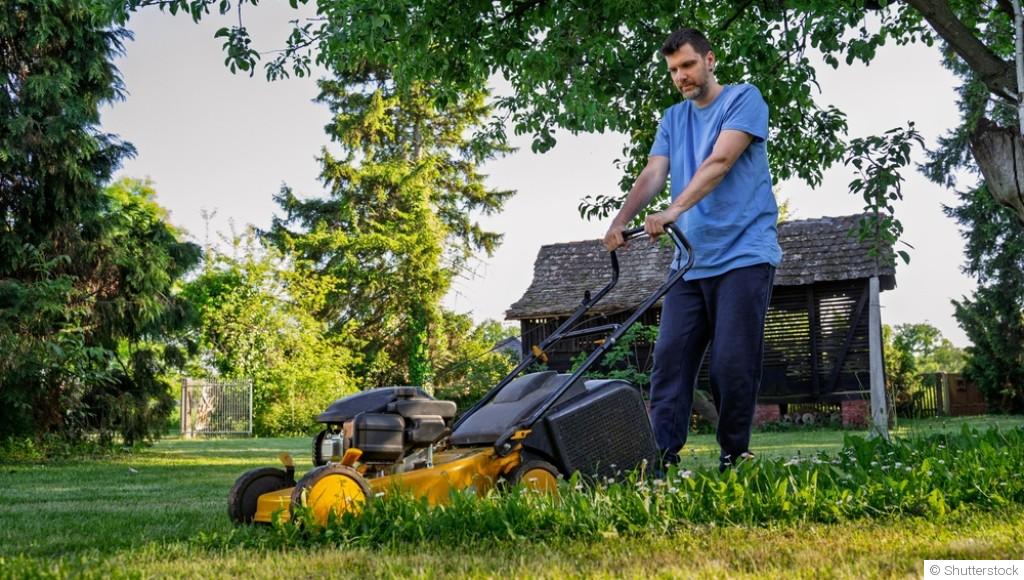 3 gestes à faire chaque week-end au jardin