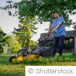 3 gestes à faire chaque week-end au jardin