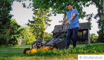 3 gestes à faire chaque week-end au jardin