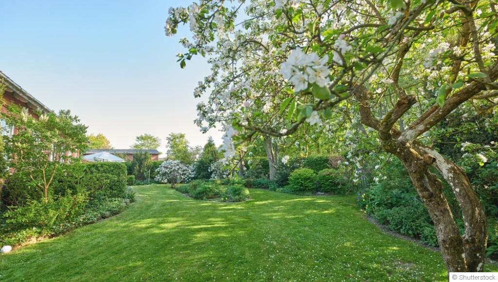 Jardin naturel : moins on en fait, mieux c’est