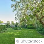 Jardin naturel : moins on en fait, mieux c’est