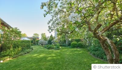 Jardin naturel : moins on en fait, mieux c’est