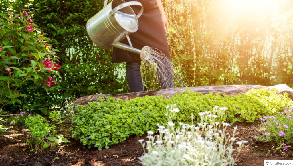 Jardiner le soir : les avantages d’un rituel d’été relaxant