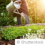 Jardiner le soir : les avantages d’un rituel d’été relaxant