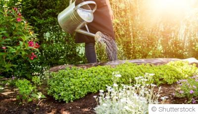 Jardiner le soir : les avantages d’un rituel d’été relaxant