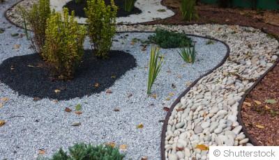 Comment créer un jardin sans arrosage ou presque