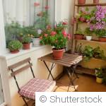 Petits espaces : aménager un coin de verdure sur 5 m²