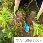 Ce qu’on peut planter en avril sans stress