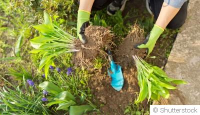 Ce qu’on peut planter en avril sans stress