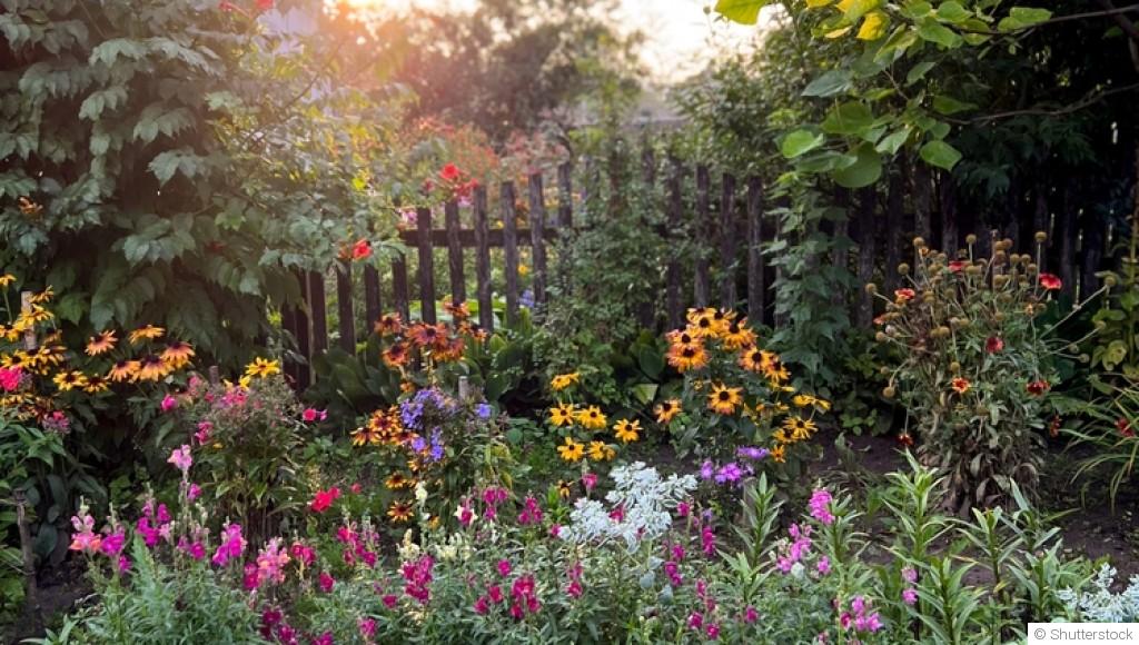 Un jardin plein de vie, même sans effort