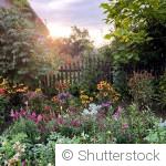 Un jardin plein de vie, même sans effort