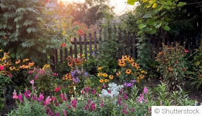 Un jardin plein de vie, même sans effort
