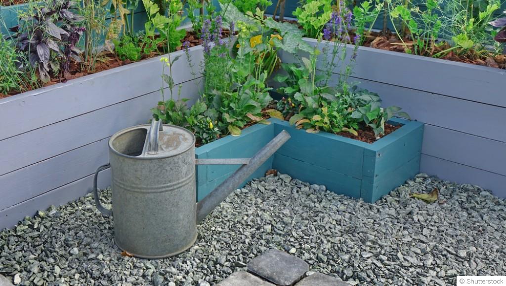 Un mini-jardin dans une cagette