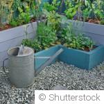 Un mini-jardin dans une cagette