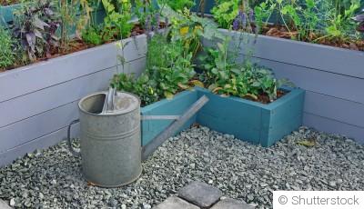Un mini-jardin dans une cagette