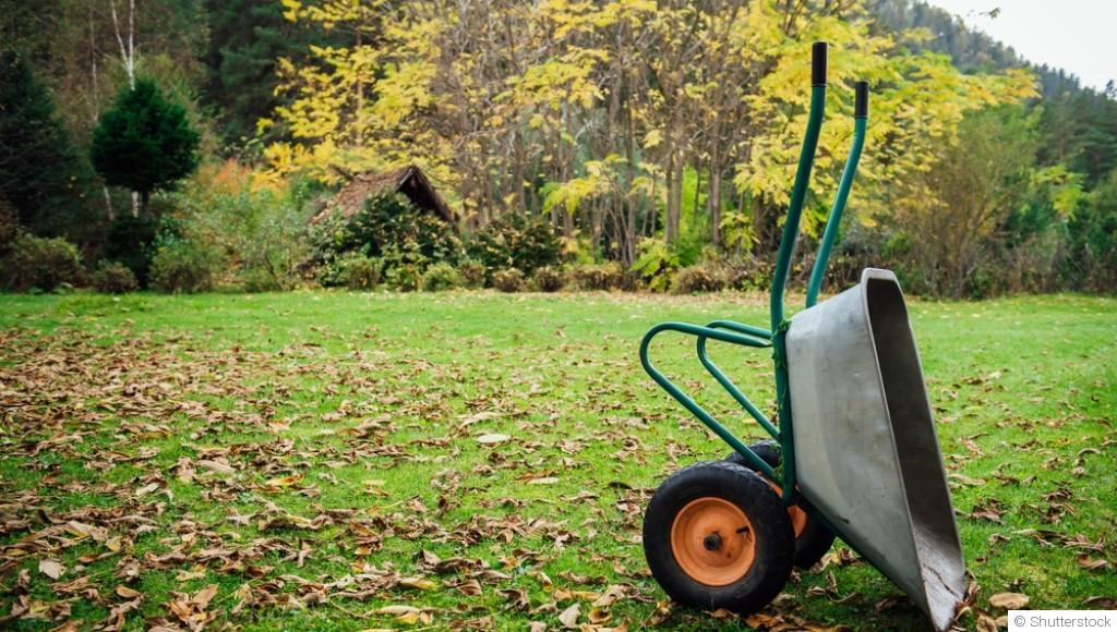 Fin d’automne au jardin : 12 travaux essentiels à faire avant l’hiver
