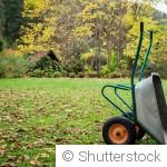 Fin d’automne au jardin : 12 travaux essentiels à faire avant l’hiver