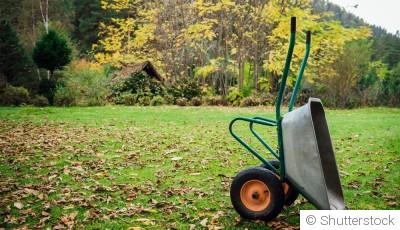 Fin d’automne au jardin : 12 travaux essentiels à faire avant l’hiver