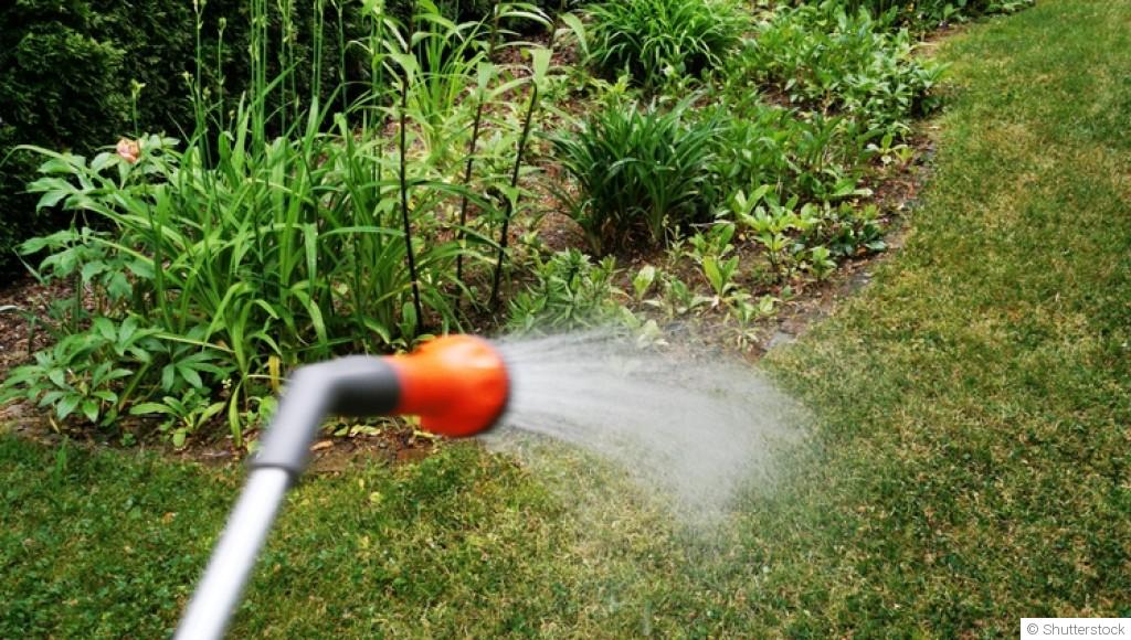 Arrosage par temps froid : bonnes pratiques et erreurs à éviter