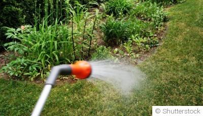 Arrosage par temps froid : bonnes pratiques et erreurs à éviter