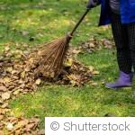 Préparer son jardin en hiver : le guide complet pour anticiper un printemps florissant