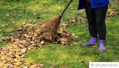 Préparer son jardin en hiver : le guide complet pour anticiper un printemps florissant