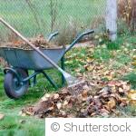 Préparer son jardin en hiver pour un printemps réussi