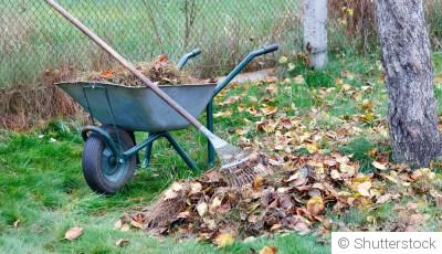 Préparer son jardin en hiver pour un printemps réussi